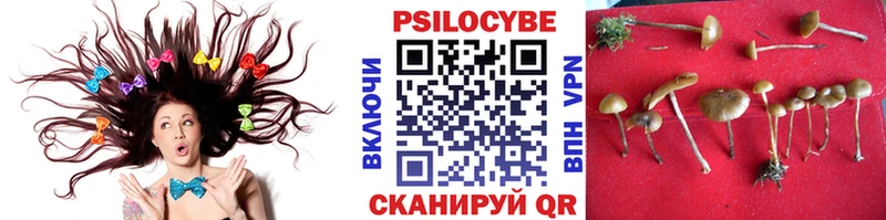 Псилоцибиновые грибы MAGIC MUSHROOMS  Ак-Довурак 